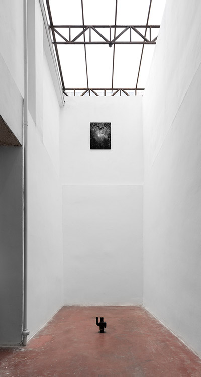 Matan Mittwoch Dvir Gallery 