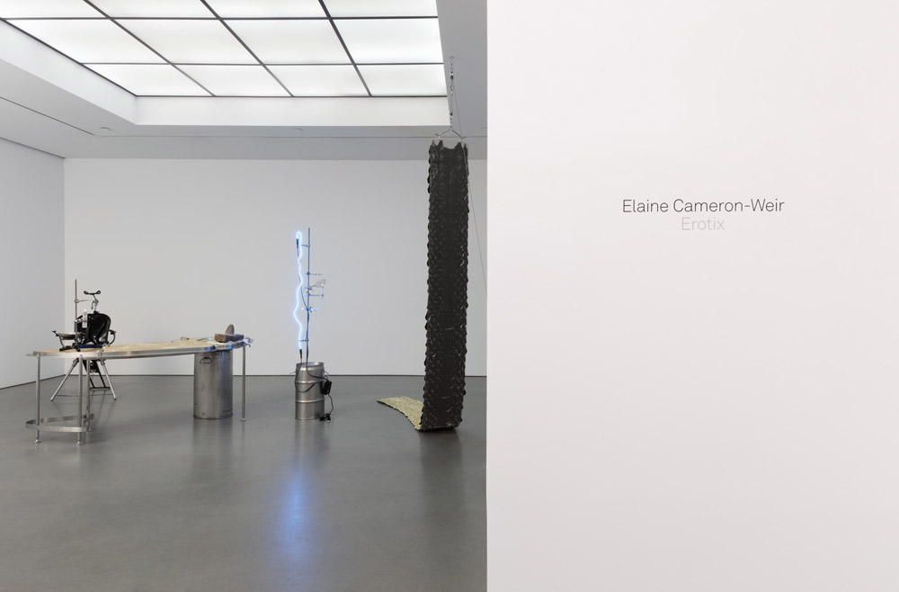 Elaine Cameron-Weir Andrea Rosen Gallery 