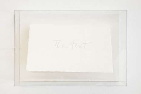 Luis Camnitzer, Text and its Shadow, 2009/2012, Galerie Nordenhake