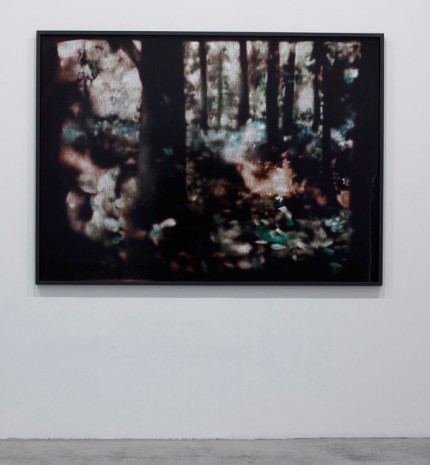 Matt Saunders, Woods (Kuhle Wampe) #1, 2014, Marian Goodman Gallery