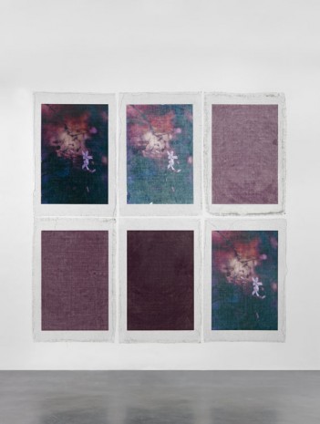 Valerie Snobeck, Bruised Flowers, 2014, Simon Lee Gallery