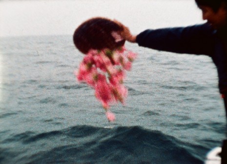 Shimabuku, Sea and Flowers, 2013, Air de Paris