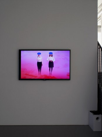 Cécile B. Evans, The Brightness, 2013 , Pilar Corrias Gallery