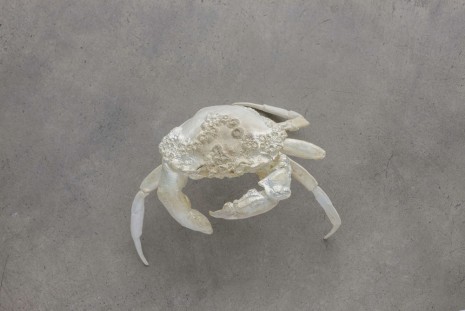 Dorothy Cross, Finger Crab, 2011, Kerlin Gallery