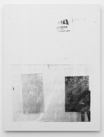 Julia Schmidt, Untitled (Immo), 2014, Meyer Riegger
