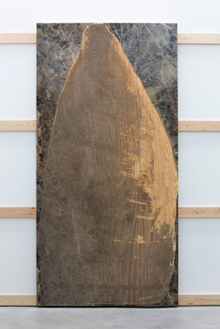 Michael DeLucia, The Long Tooth, 2014, Galerie Nathalie Obadia