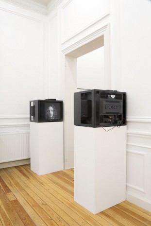 Carsten Höller, Belgian Twins, 2014, Galerie Micheline Szwajcer (closed)