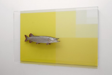 Carsten Höller, Divisions (Pike and Surface), 2014, Galerie Micheline Szwajcer (closed)
