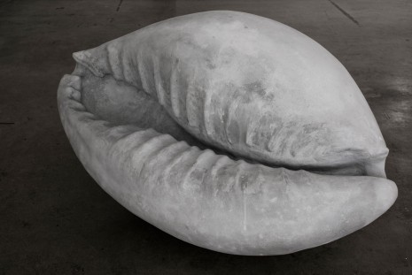 Melik Ohanian, Shell, 2014, Galerie Chantal Crousel
