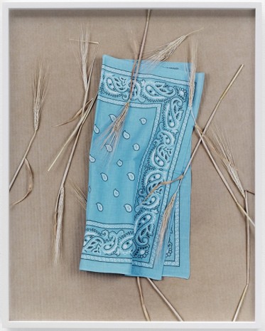 Annette Kelm, Paisley and Wheat Baby Blue, 2013, Giò Marconi