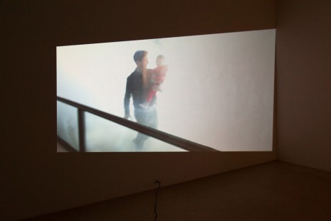Lutz Bacher, Fog, 2014, Greene Naftali