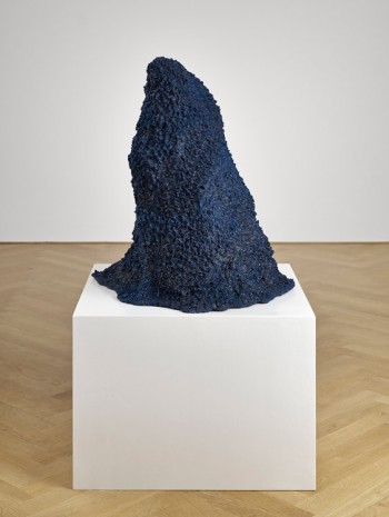 Agnieszka Kurant, A.A.I., 2015, Galerie Max Hetzler