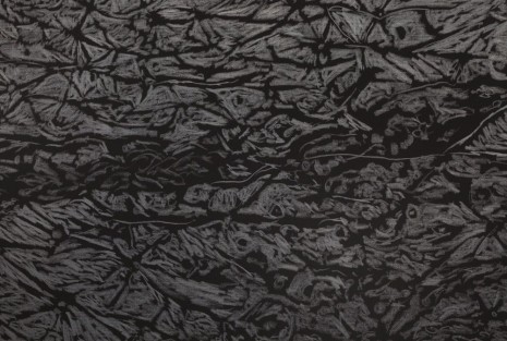 Giuseppe Penone, Pelle di grafite -­ palpebra (Skin of Graphite -­ Eyelid), 2012 (detail), Marian Goodman Gallery