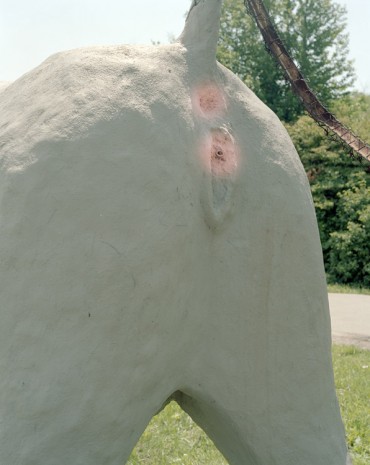 Lucas Blalock, A Horse's Ass, 2013, rodolphe janssen