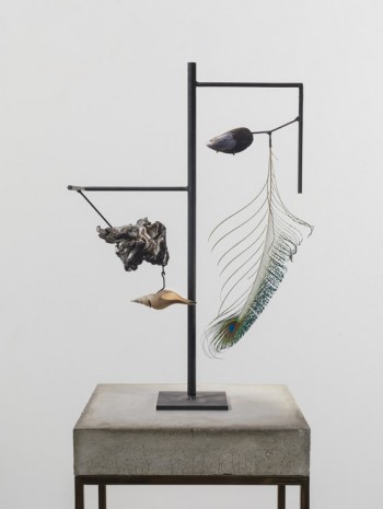 Carol Bove, Mussel Shell (detail), 2014, David Zwirner