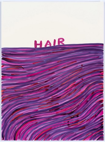 David Shrigley, Untitled (Hair), 2015, Anton Kern Gallery