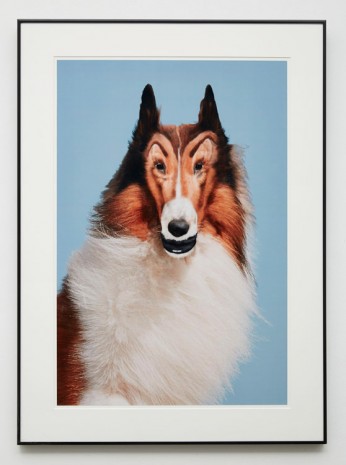 John Waters, Reconstructed Lassie, 2012, Sprüth Magers