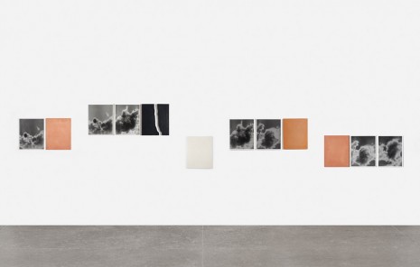 Lisa Oppenheim, La Quema (Version II), 2014, Tanya Bonakdar Gallery