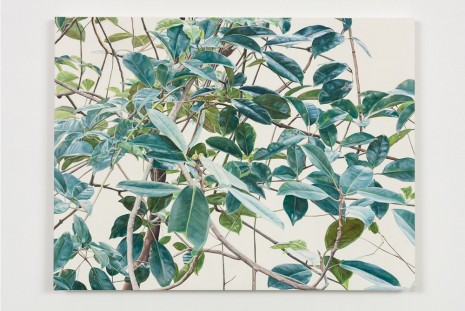 Toba Khedoori, Untitled (leaves/branches), 2015, Regen Projects