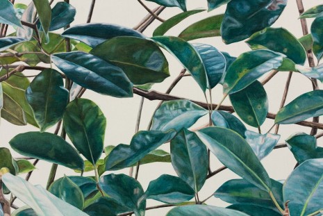 Toba Khedoori, Untitled (leaves/branches) (detail), 2015, Regen Projects