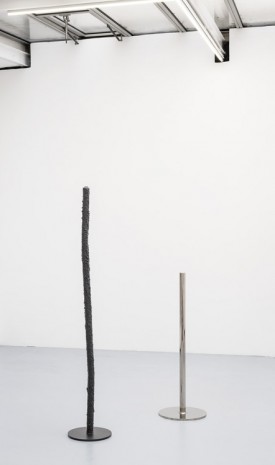 David Renggli, Group of poles, 2016, Valentin