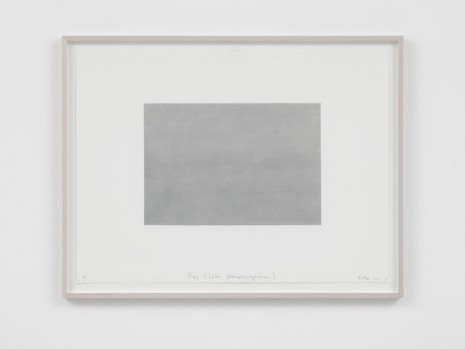 Spencer Finch, Fog (Lake Wononscopomac), 2016, Lisson Gallery