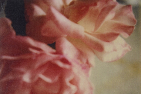Cy Twombly, Paris Photo, Gagosian