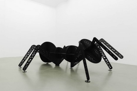 Peter Kogler, , Galerie Mezzanin